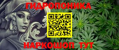 СК Дубна