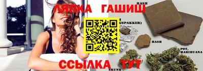 СК Дубна