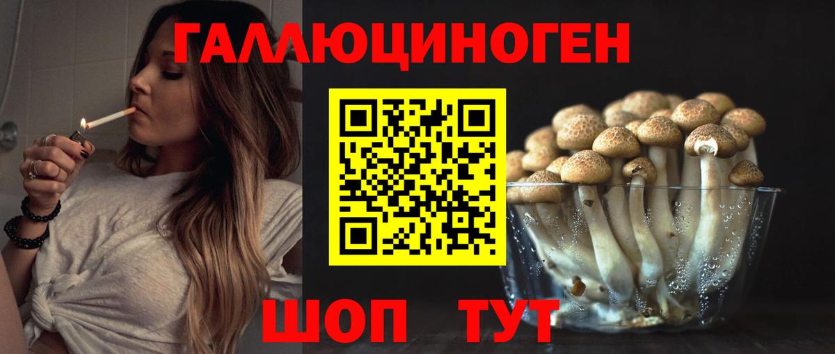 Галлюциногенные грибы Psilocybe  Вход с VPN  Ессентуки 